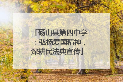 砀山县第四中学：弘扬爱国精神，深耕民法典宣传