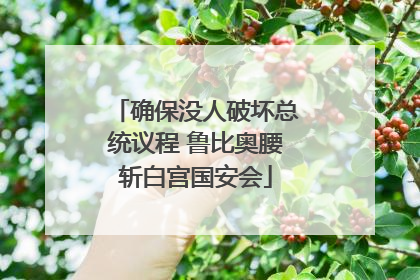 确保没人破坏总统议程 鲁比奥腰斩白宫国安会