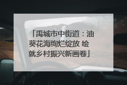 禹城市中街道：油葵花海绚烂绽放 绘就乡村振兴新画卷
