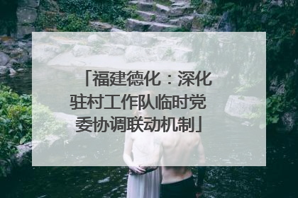 福建德化：深化驻村工作队临时党委协调联动机制