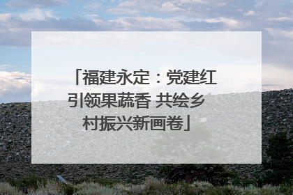 福建永定：党建红引领果蔬香 共绘乡村振兴新画卷