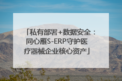 私有部署+数据安全：同心雁S-ERP守护医疗器械企业核心资产