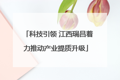 科技引领 江西瑞昌着力推动产业提质升级