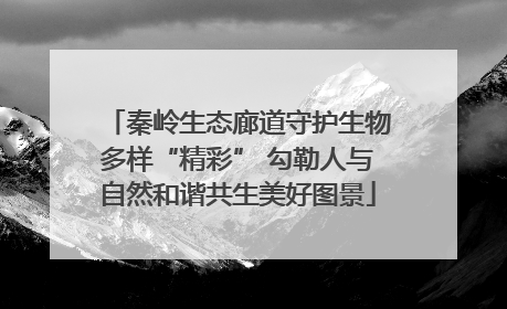 秦岭生态廊道守护生物多样“精彩” 勾勒人与自然和谐共生美好图景