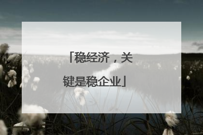 稳经济，关键是稳企业