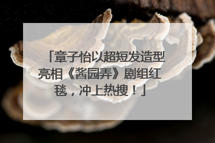 章子怡以超短发造型亮相《酱园弄》剧组红毯，冲上热搜！