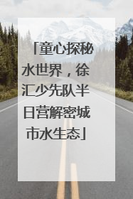 童心探秘水世界，徐汇少先队半日营解密城市水生态