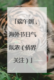 端午到，海外节日气氛浓（侨界关注）