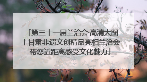 第三十一届兰洽会·高清大图丨甘肃非遗文创精品亮相兰洽会 带您近距离感受文化魅力