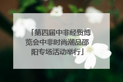 第四届中非经贸博览会中非时尚潮品邵阳专场活动举行