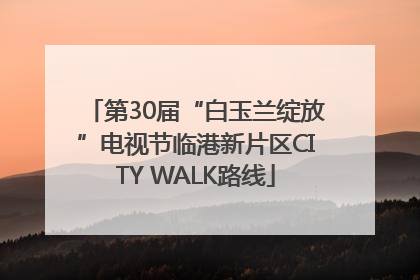 第30届“白玉兰绽放”电视节临港新片区CITY WALK路线