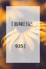 翁城日记 935