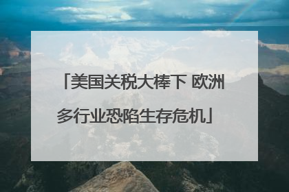 美国关税大棒下 欧洲多行业恐陷生存危机