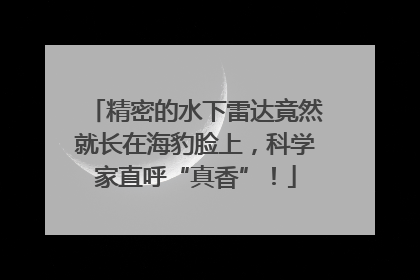 精密的水下雷达竟然就长在海豹脸上，科学家直呼“真香”！