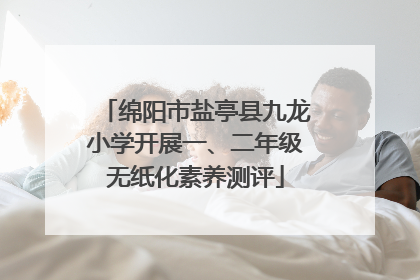 绵阳市盐亭县九龙小学开展一、二年级无纸化素养测评