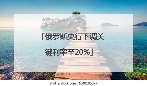 俄罗斯央行下调关键利率至20%