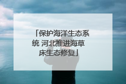 保护海洋生态系统 河北推进海草床生态修复