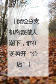 保险分支机构裁撤大潮下，谁在逆势开“分店”