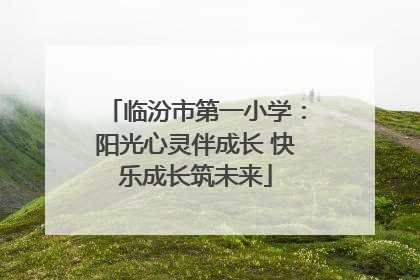 临汾市第一小学：阳光心灵伴成长 快乐成长筑未来