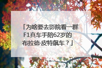 为啥要去影院看一群F1真车手陪62岁的布拉德·皮特飙车？