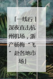 一线行丨深夜直击杭州机场，浙产杨梅“飞”赴各地市场