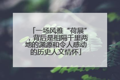 一场风雅“荷展”，背后是相隔千里两地的渊源和令人感动的历史人文情怀