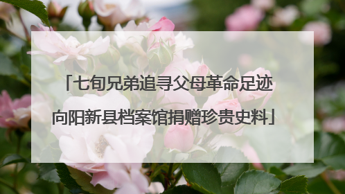 七旬兄弟追寻父母革命足迹 向阳新县档案馆捐赠珍贵史料