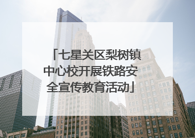 七星关区梨树镇中心校开展铁路安全宣传教育活动