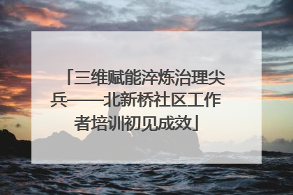 三维赋能淬炼治理尖兵——北新桥社区工作者培训初见成效
