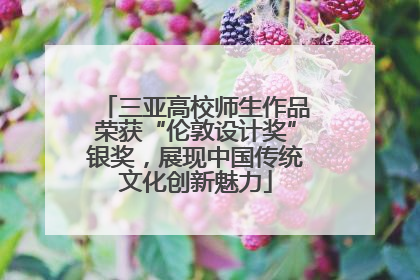 三亚高校师生作品荣获“伦敦设计奖”银奖，展现中国传统文化创新魅力