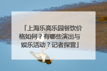 上海乐高乐园餐饮价格如何？有哪些演出与娱乐活动？记者探营