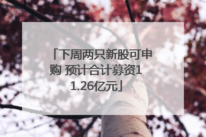 下周两只新股可申购 预计合计募资11.26亿元