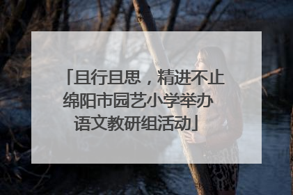 且行且思，精进不止 绵阳市园艺小学举办语文教研组活动