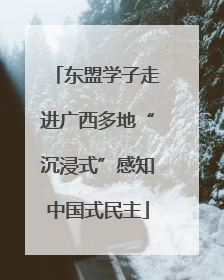 东盟学子走进广西多地“沉浸式”感知中国式民主