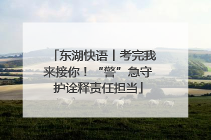 东湖快语丨考完我来接你！“警”急守护诠释责任担当