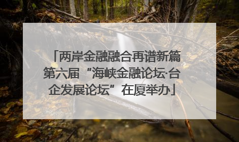 两岸金融融合再谱新篇 第六届“海峡金融论坛·台企发展论坛”在厦举办