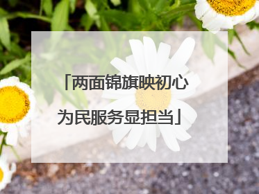 两面锦旗映初心 为民服务显担当
