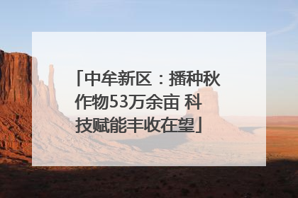 中牟新区：播种秋作物53万余亩 科技赋能丰收在望