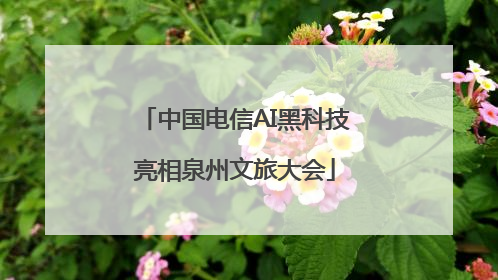 中国电信AI黑科技亮相泉州文旅大会