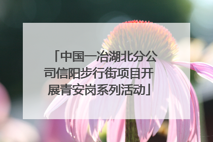 中国一冶湖北分公司信阳步行街项目开展青安岗系列活动