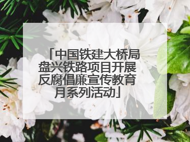 中国铁建大桥局盘兴铁路项目开展反腐倡廉宣传教育月系列活动