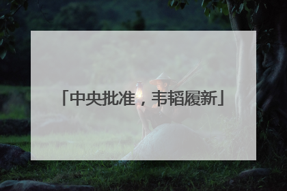 中央批准，韦韬履新