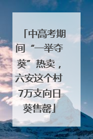 中高考期间“一举夺葵”热卖，六安这个村7万支向日葵售罄