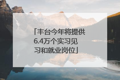 丰台今年将提供6.4万个实习见习和就业岗位