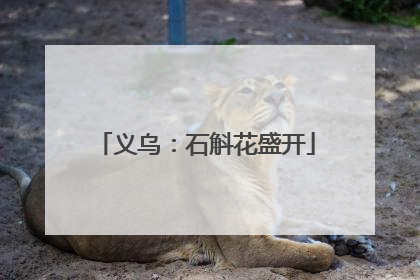 义乌：石斛花盛开