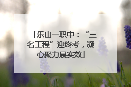 乐山一职中：“三名工程”迎终考，凝心聚力展实效