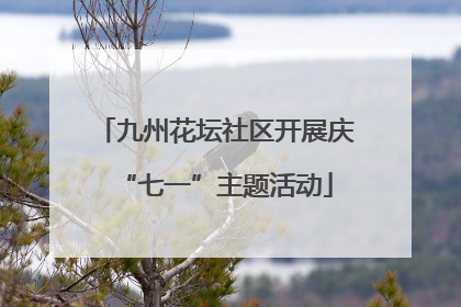 九州花坛社区开展庆“七一”主题活动