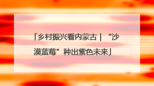 乡村振兴看内蒙古｜“沙漠蓝莓”种出紫色未来