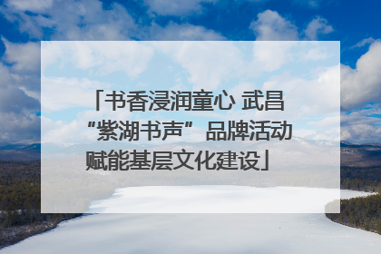 书香浸润童心 武昌“紫湖书声”品牌活动赋能基层文化建设