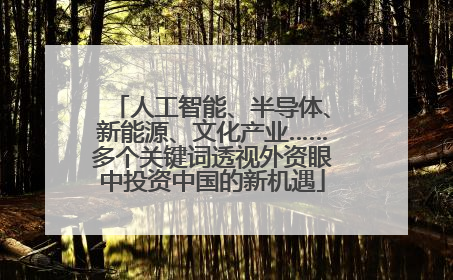 人工智能、半导体、新能源、文化产业……多个关键词透视外资眼中投资中国的新机遇